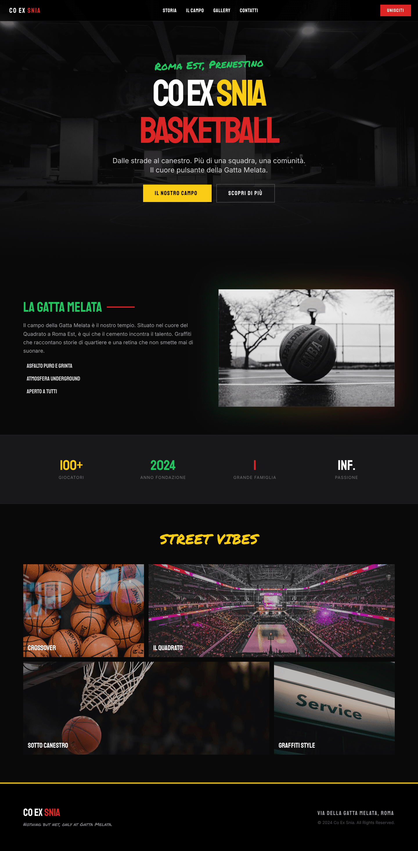 Co Ex Snia Basketball - Il Cuore di Roma